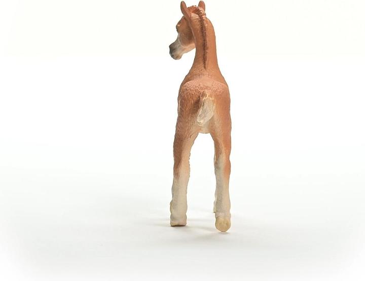 Actual product image Schleich Arabian foal