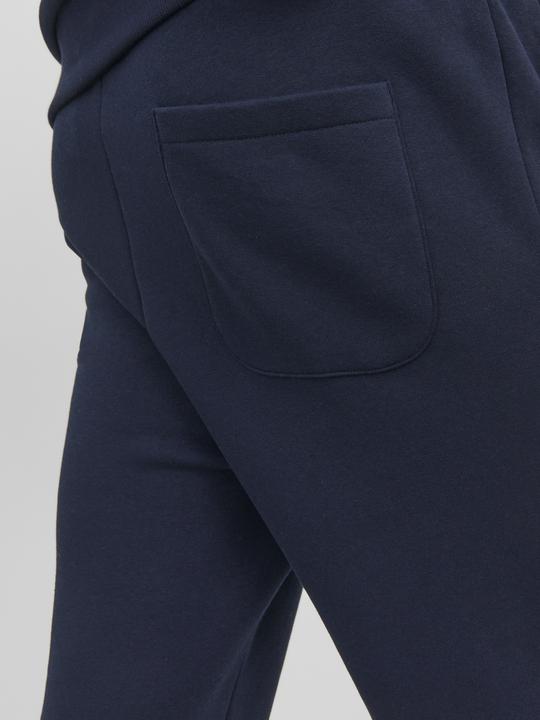 Actual product image Jack & Jones Gordon Bradley Sweatpants (L)