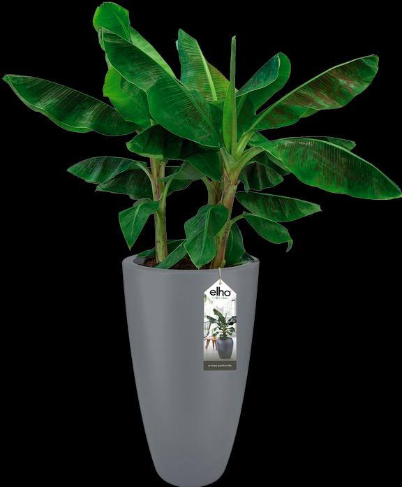 Immagine prodotto Elho Pure Soft (39 cm)