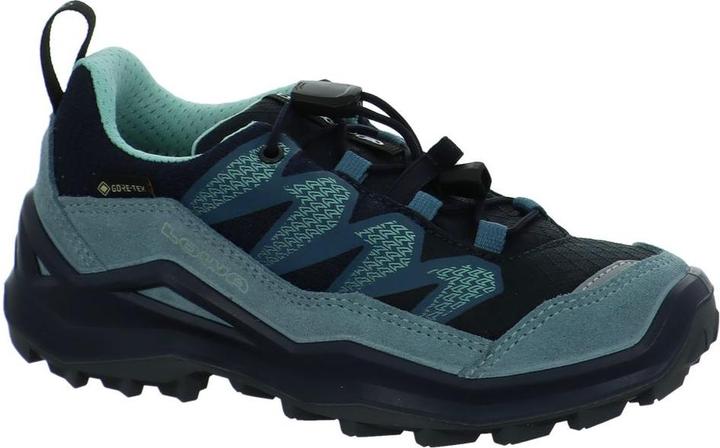 Produktbild Lowa Maddox Pro GTX LO (36)