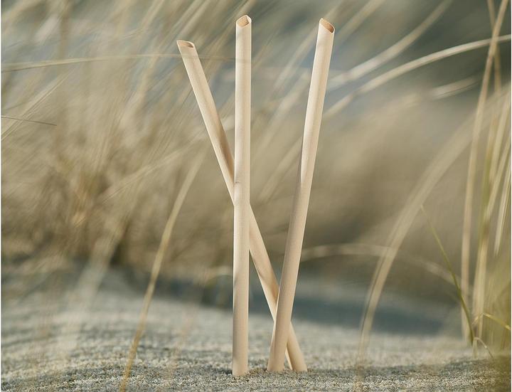 Image du produit Pandoo Paille jetable bambou 50pcs (1 x)