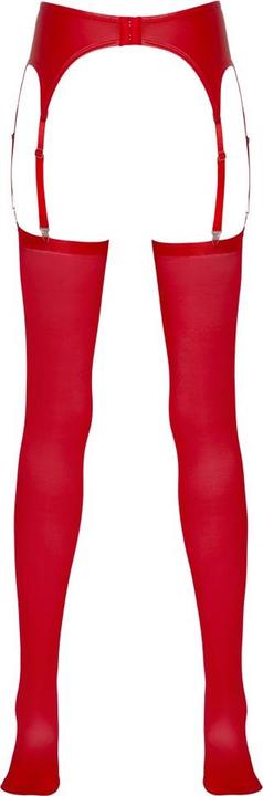 Actual product image No:xqse Wetlook suspender belt with stockings (XL)