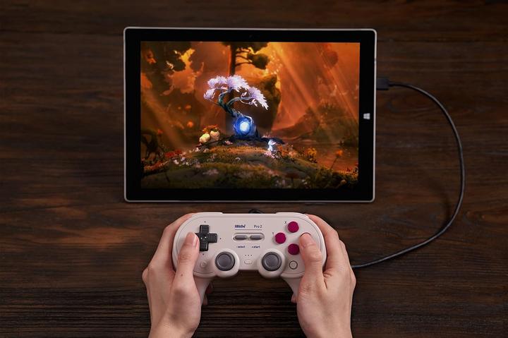 Actual product image 8bitdo Per 2 (Windows, Android, Switch)