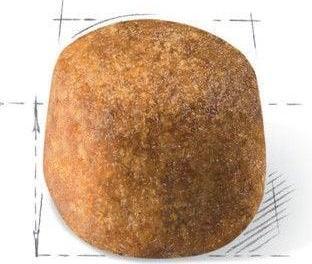 Produktbild Royal Canin Maine Coon (Adult, 1 Stk., 400 g)