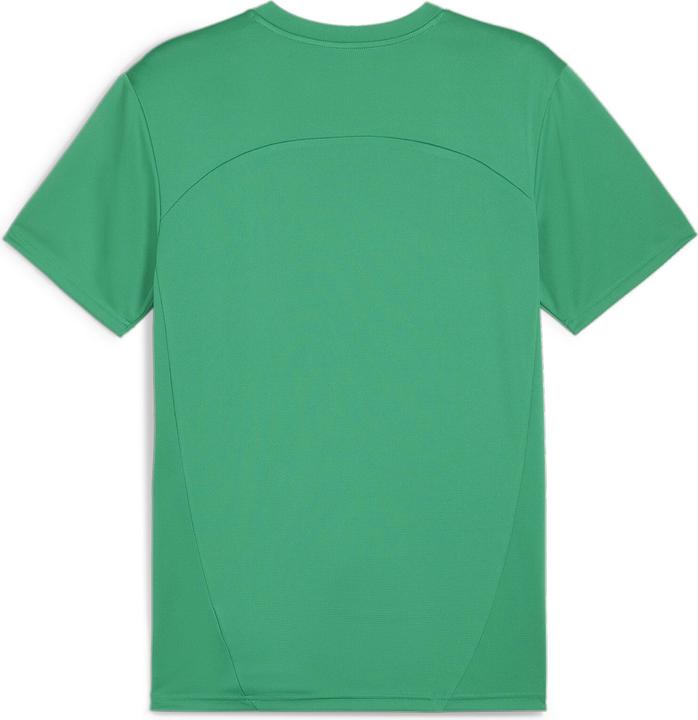 Actual product image Puma teamFINAL Training Jersey (M)