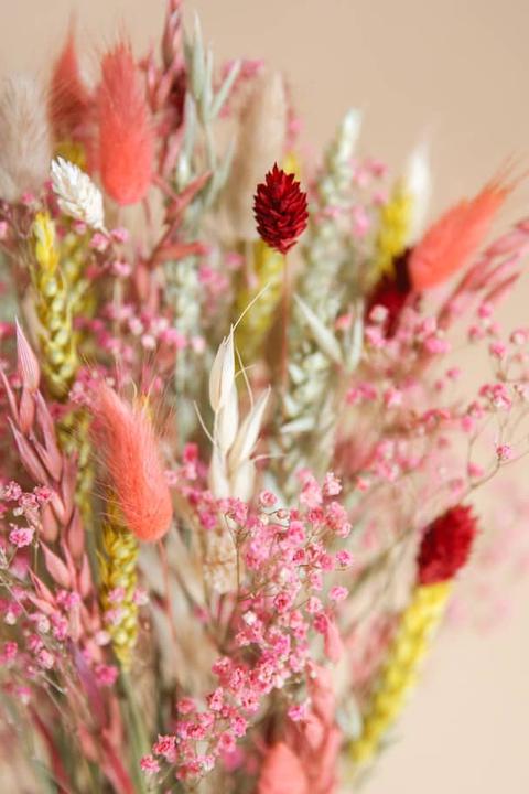 Actual product image la fleur douce Dried flowers Harmony (Dried flowers)
