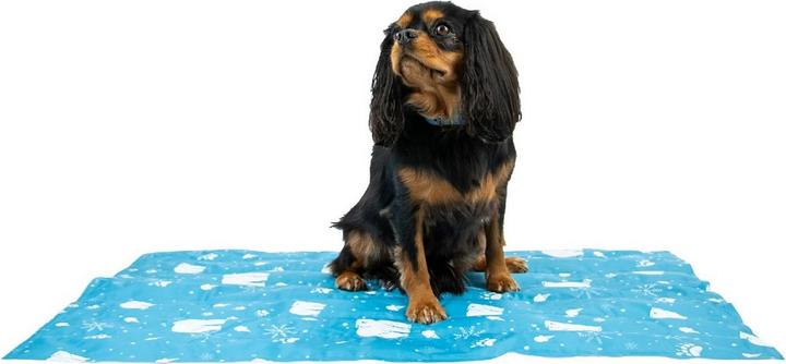 Image du produit Ancol - Tapis de refroidissement pour chiens ICE PAWS (Chien)