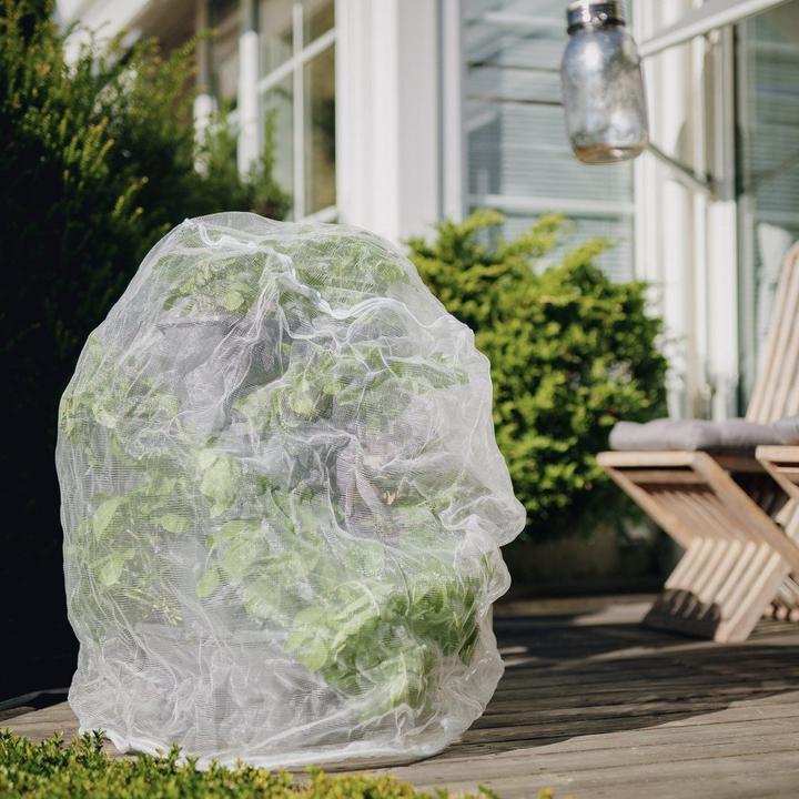 Immagine prodotto Gusta Garden Rete di protezione dagli insetti, 65 x 90 cm