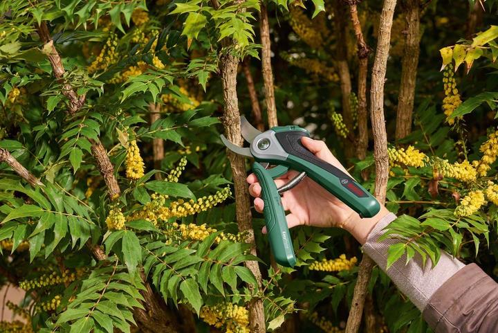 Image du produit Bosch Home & Garden Easy Prune avec étui souple