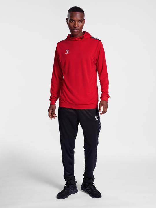 Actual product image hummel Hmlauthentic Pl Hoodie (M)