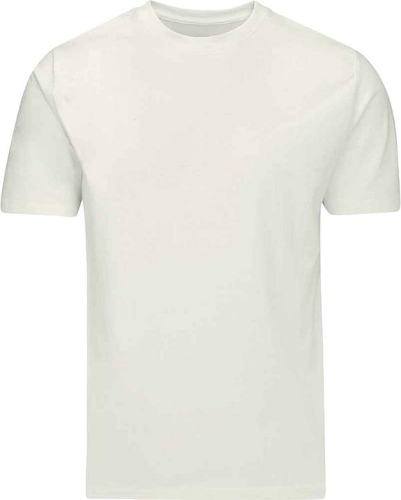 Image du produit - T-Shirt ORGANIQUE - Hommes (XS)