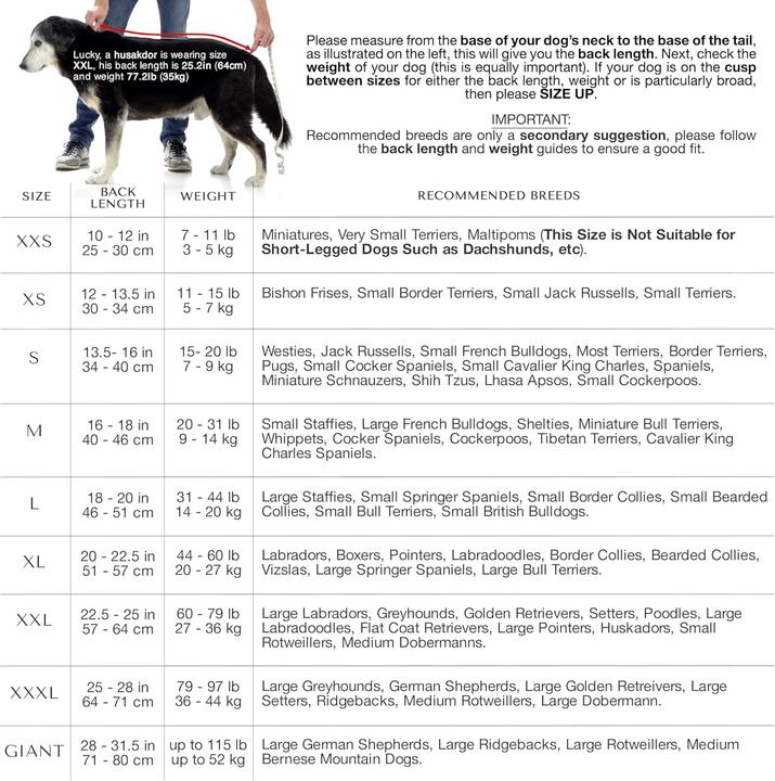 Immagine prodotto Lucky Paws Hundebademantel (XL)