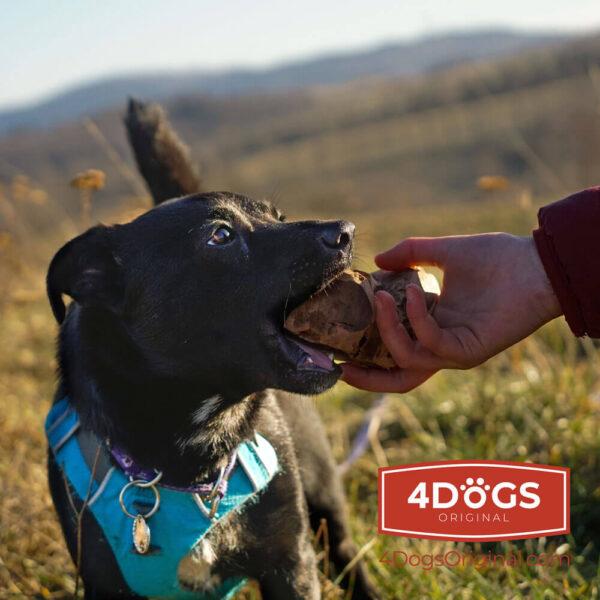 Actual product image 4Dogs Original Corzen xl (Dog chew toy)
