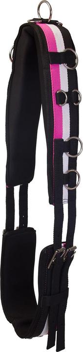 Produktbild Imperial Riding Longiergurt IRHDeluxe Nylon
