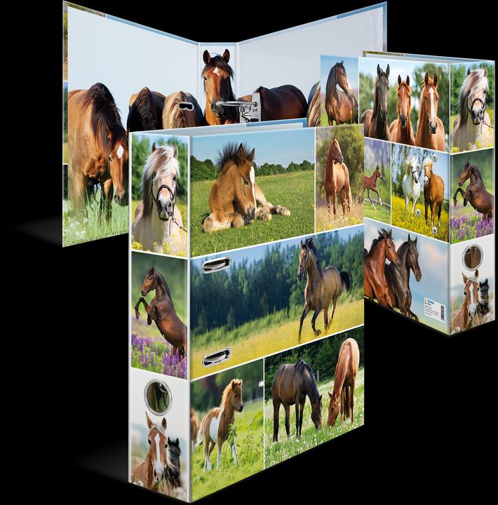 Image du produit HERMA Dossier A4 Motif (A4, 70 mm, 1 pièce(s))