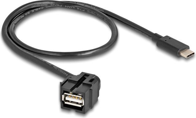 Actual product image Delock Keystone module USB 2.0 A socket to USB Type-C plug 250° (0.50 m, USB 2.0)