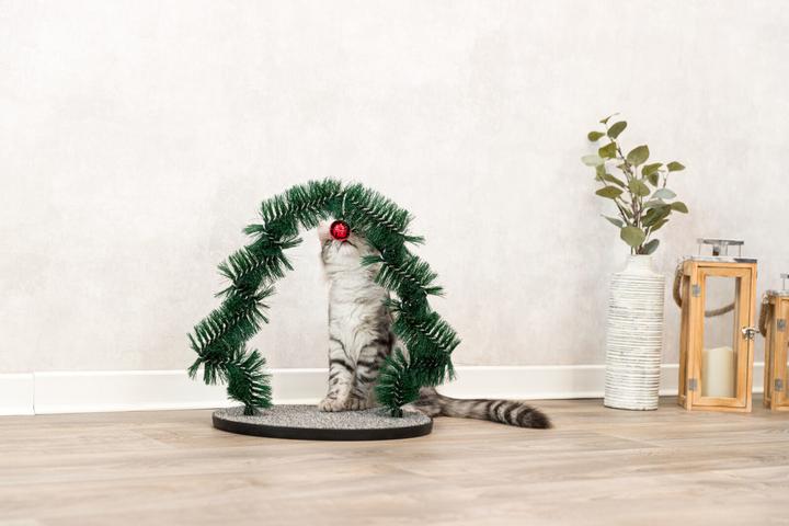 Immagine prodotto Trixie Massaggio natalizio e scheda per la cura del pelo (Gatto)