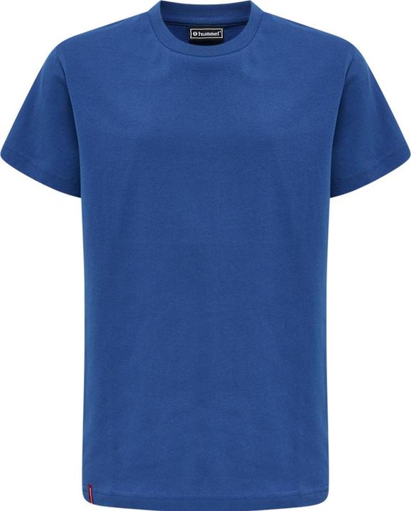 Vrai bleu
