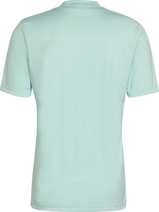 Actual product image adidas Entrada 22 Graphic Jersey (S)
