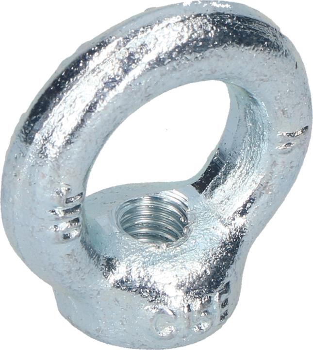 Actual product image Werkstarck Ring nuts DIN 582 (M20)