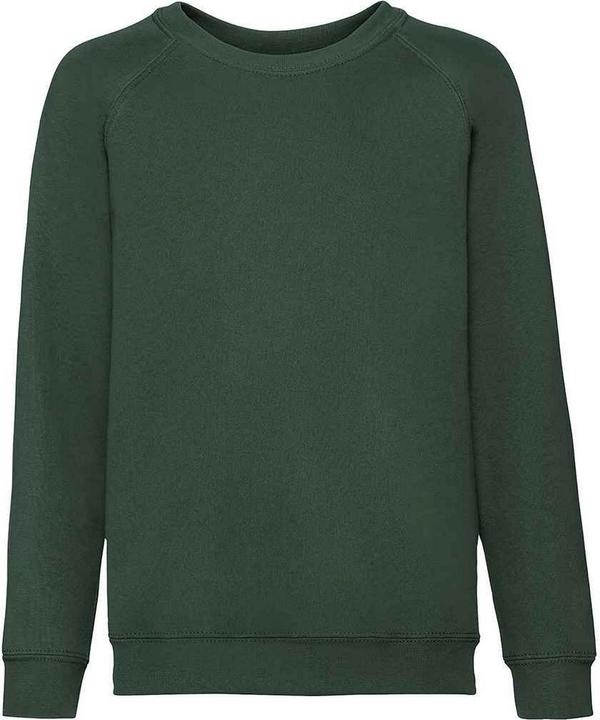 Actual product image Fruit of the Loom Childrens/Kids Classic Raglan Sweatshirt (152, 158)