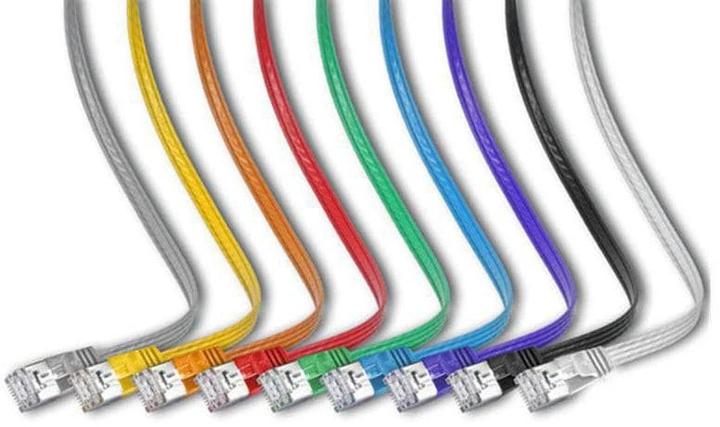 Actual product image Wirewin Network cable (STP, CAT6, 0.10 m)