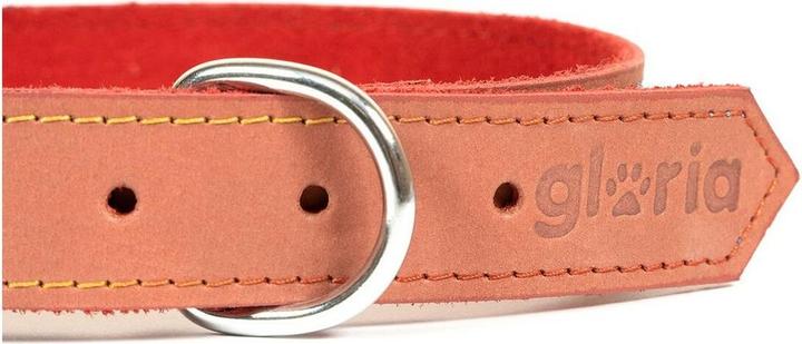 Immagine prodotto Gloria Collare per cani Oasis rosso 65 cm (65 x 3 cm) (3 cm)