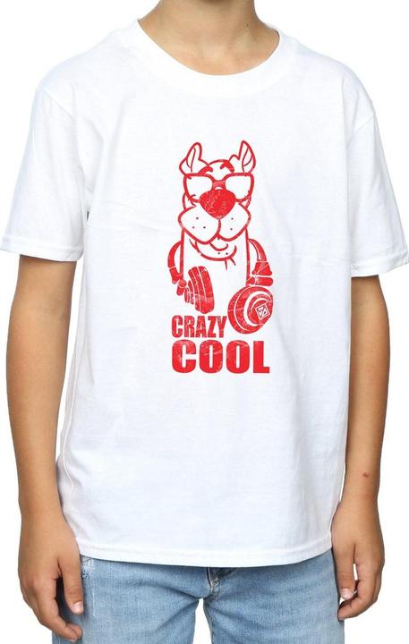 Immagine prodotto Scooby Doo Crazy Cool Maglietta Ragazzi (152, 158)