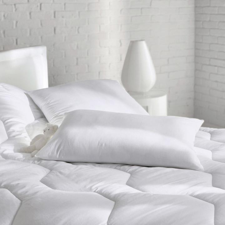 Immagine prodotto La Redoute Interieurs LRI Standard (40 x 60 cm)