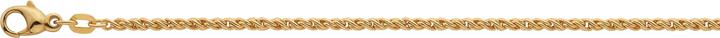 Actual product image Bijou Classic Collier Doppelanker linksgedreht 50 cm (Gold)