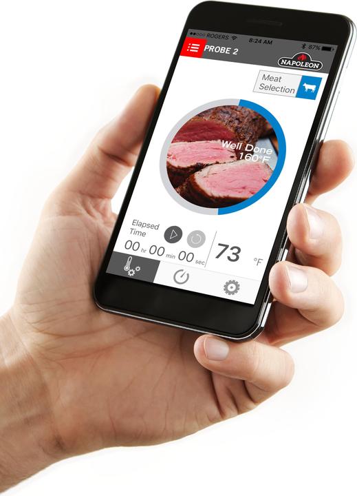 Actual product image Napoleon Thermometer