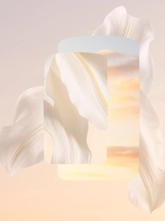 Immagine prodotto Cartier Meringa Volé (Eau de parfum, 50 ml)
