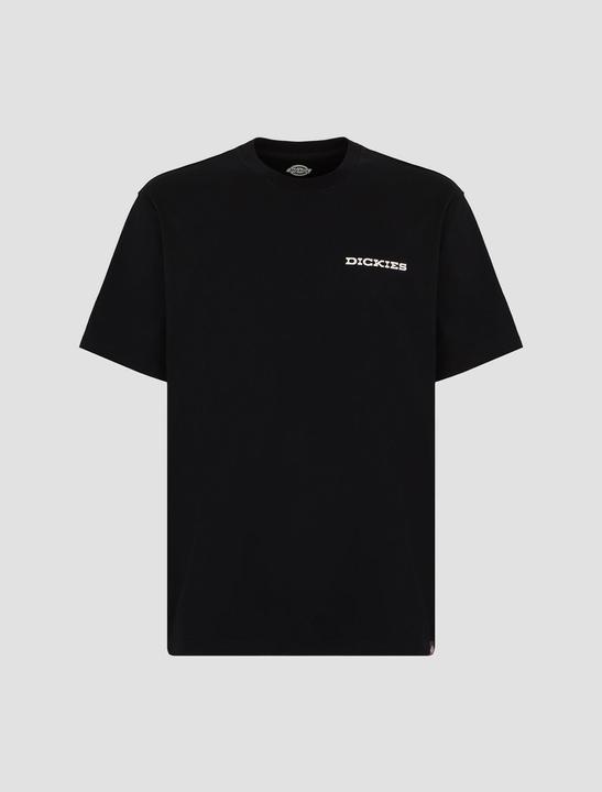 Image du produit Dickies Landascape Ss Tee Black (XL)