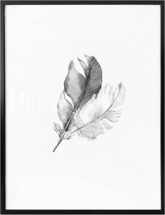 Image du produit Trenddeko Springs (30 x 40 cm)