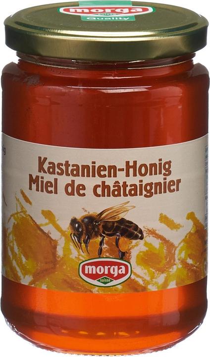 Actual product image Morga Chestnut honey abroad (500 g)