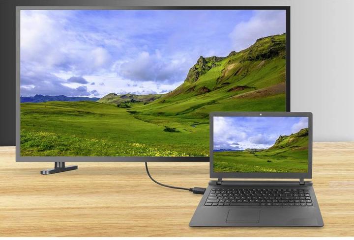 Immagine prodotto Renkforce DisplayPort — DVI (1.80 m, DisplayPort)