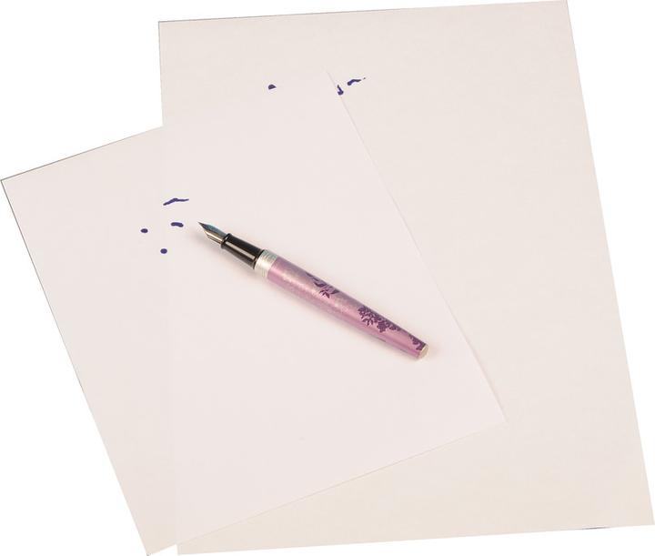 Actual product image Waser+Co Blotter sheets for notebooks (120 g/m², 100 x)