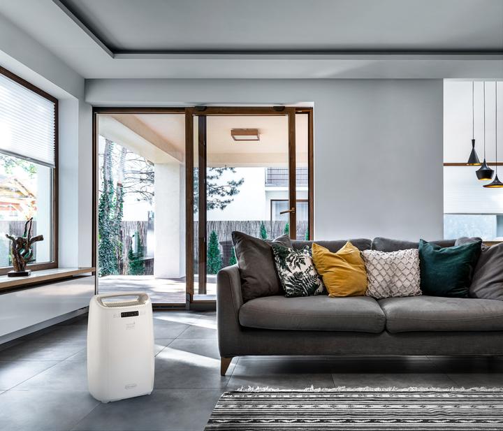Actual product image De'Longhi DEXD214RF (14 l/24h)