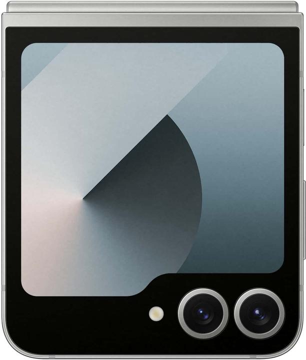 Immagine prodotto Samsung DUPLIKAT Galaxy Z Flip6 (256 GB, Ombra d'argento, 6.70", SIM + eSIM, 50 Mpx, 5G)