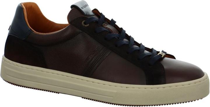 Actual product image Ambitious Anapolis (41)