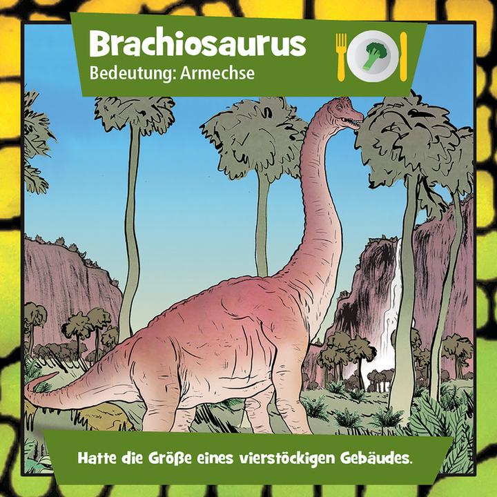 Actual product image Brainbox Memory game (German)