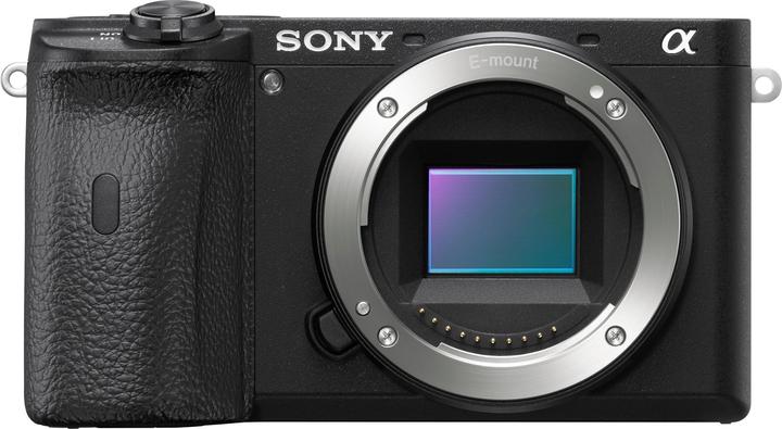 Sony Alpha 6100 (24.20 Mpx, APS-C / DX)
