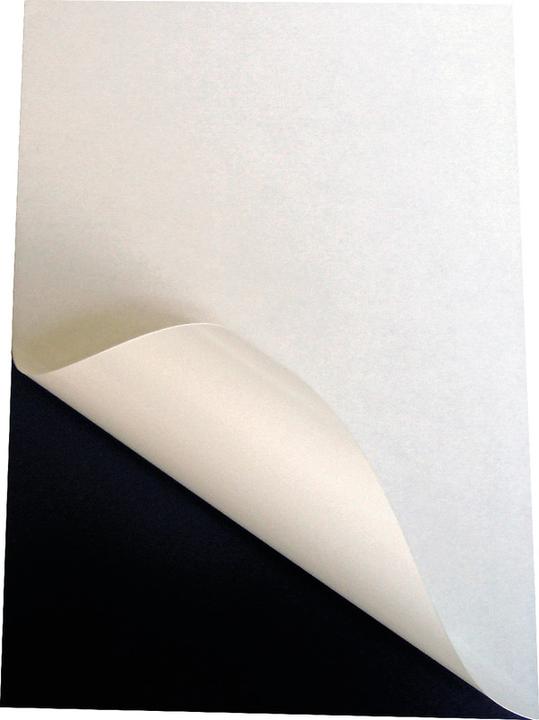 Image du produit BoOffice Feuille magnétique (1 x)