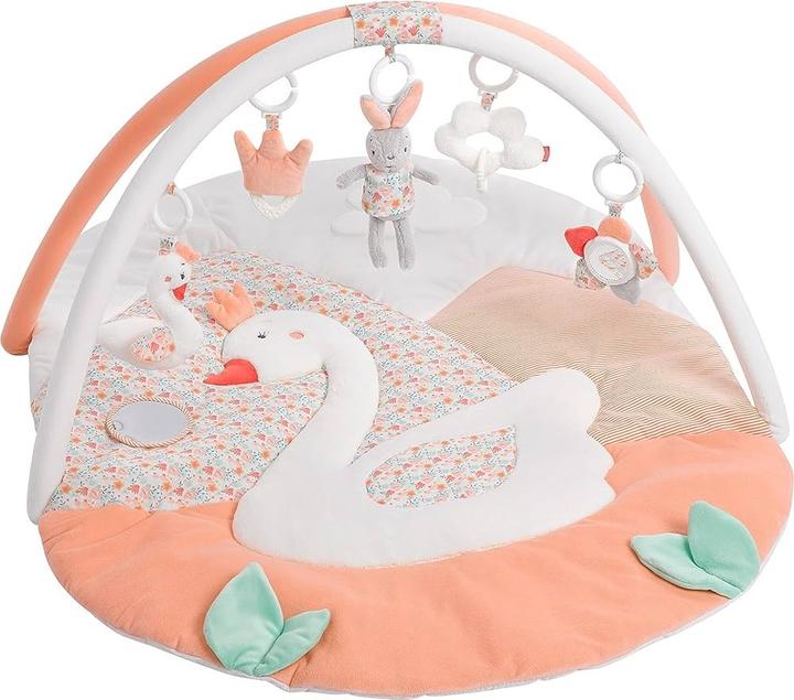 Fehn Swan Lake Activity