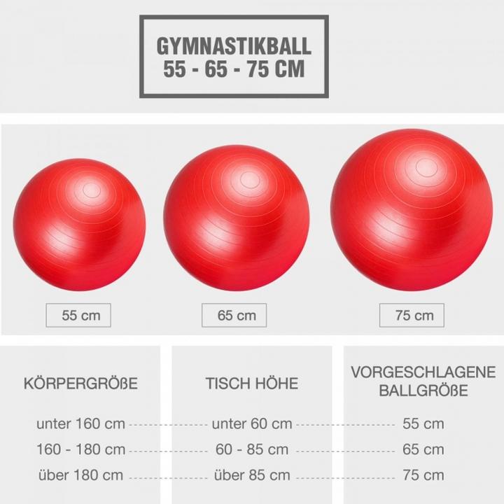 Produktbild Gorilla Sports Gymnastikball (75 cm)