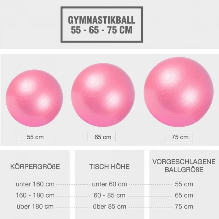 Produktbild Gorilla Sports Gymnastikball 355 (65 cm)
