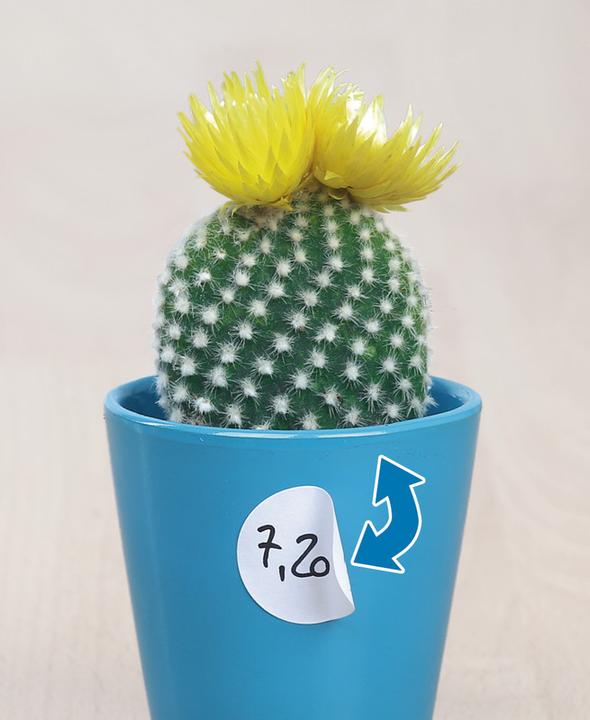 Actual product image Herma Removable multi-purpose labels