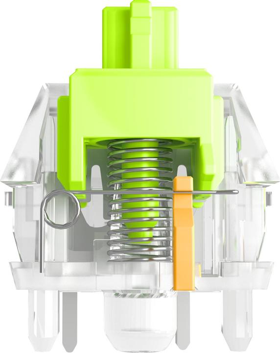 Image du produit Glorious Raptor Standard Switch, mécanique, 5 broches, clicky, MX-Stem, 55g - lubed, 36 pièces