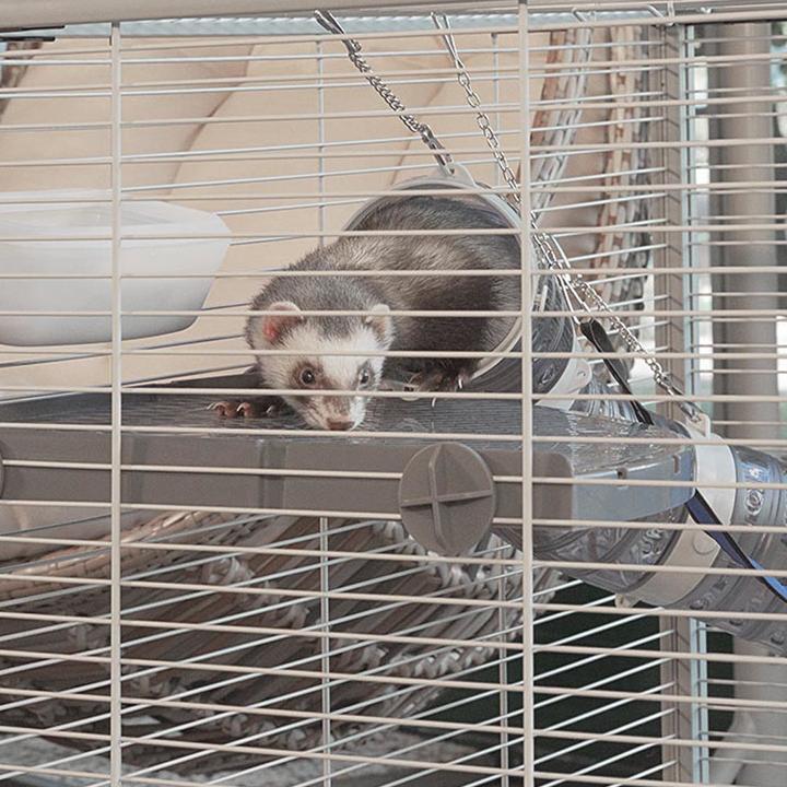 Immagine prodotto Ferplast Torre Furet