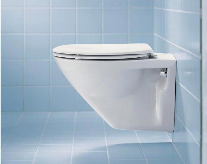 Produktbild Duravit WC-Sitz o Absenkauto Scharn Edelstahl pergamon